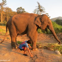 1 day trip to the highest peak in Thailand, Doi Inthanon