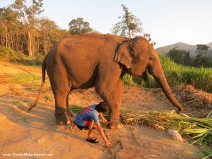 1 day trip to the highest peak in Thailand, Doi Inthanon