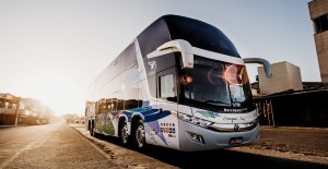Private bus service: made for excursions, weddings and school trips